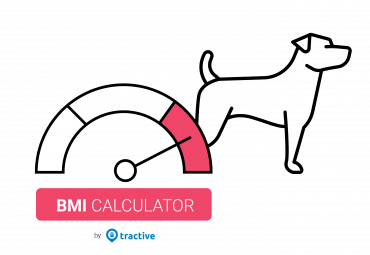 Tractive BMI calculator image dog
