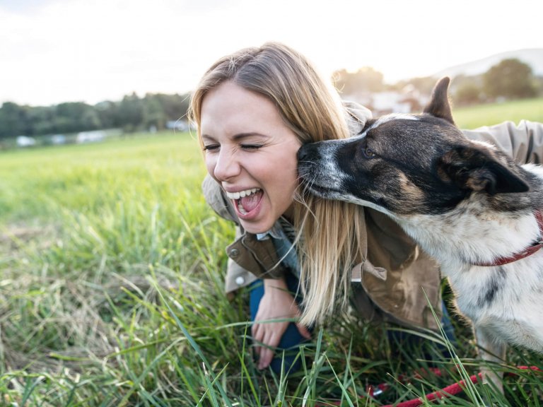 what happens if a dog licks lotion