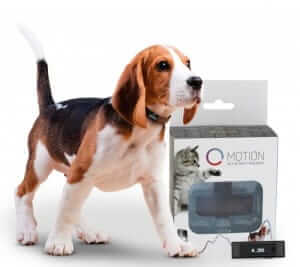 motion packaging