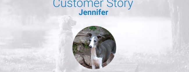 lost whippet customer story and Tractive review