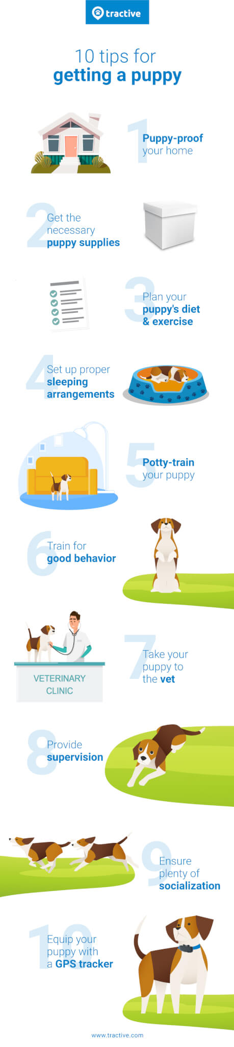 10 conseils pour obtenir un nouveau chiot - guide de soins pour chiots infographique