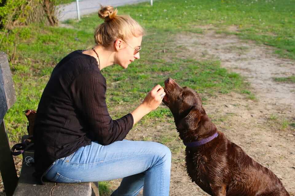 Mensch und Hund