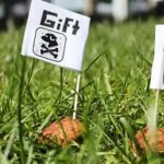 dog poisons