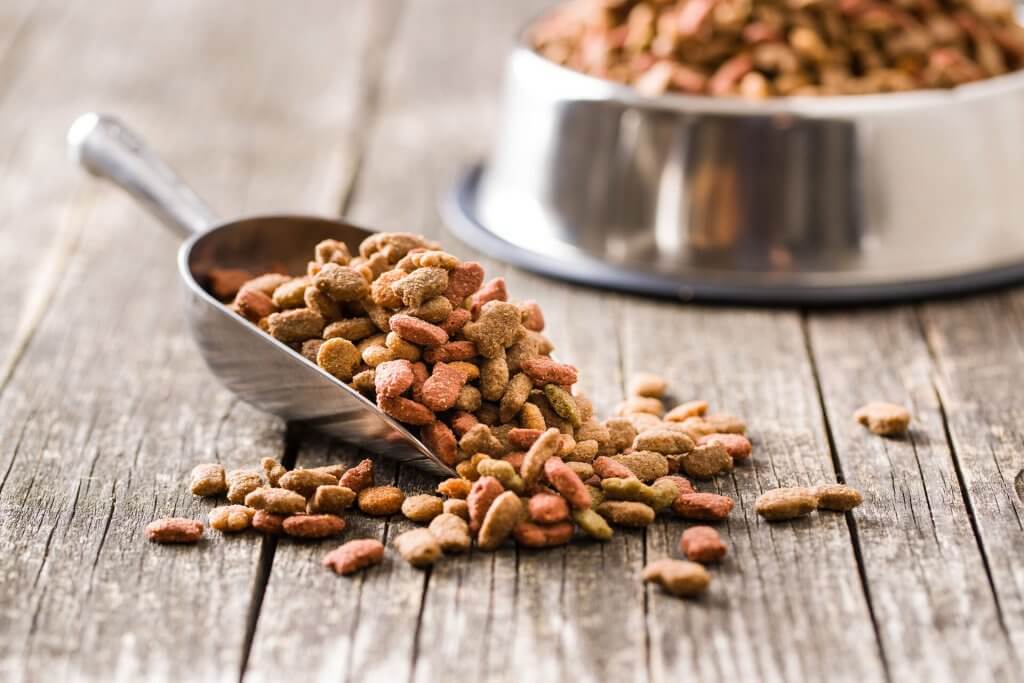 metal scoop of dry dog food sitting on the floor near a dog food bowl