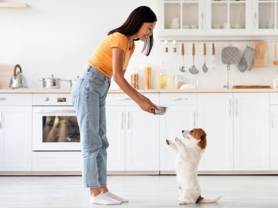woman feeding a dog in the kitchen