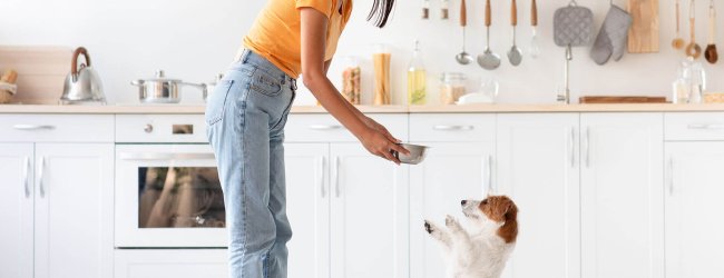 woman feeding a dog in the kitchen