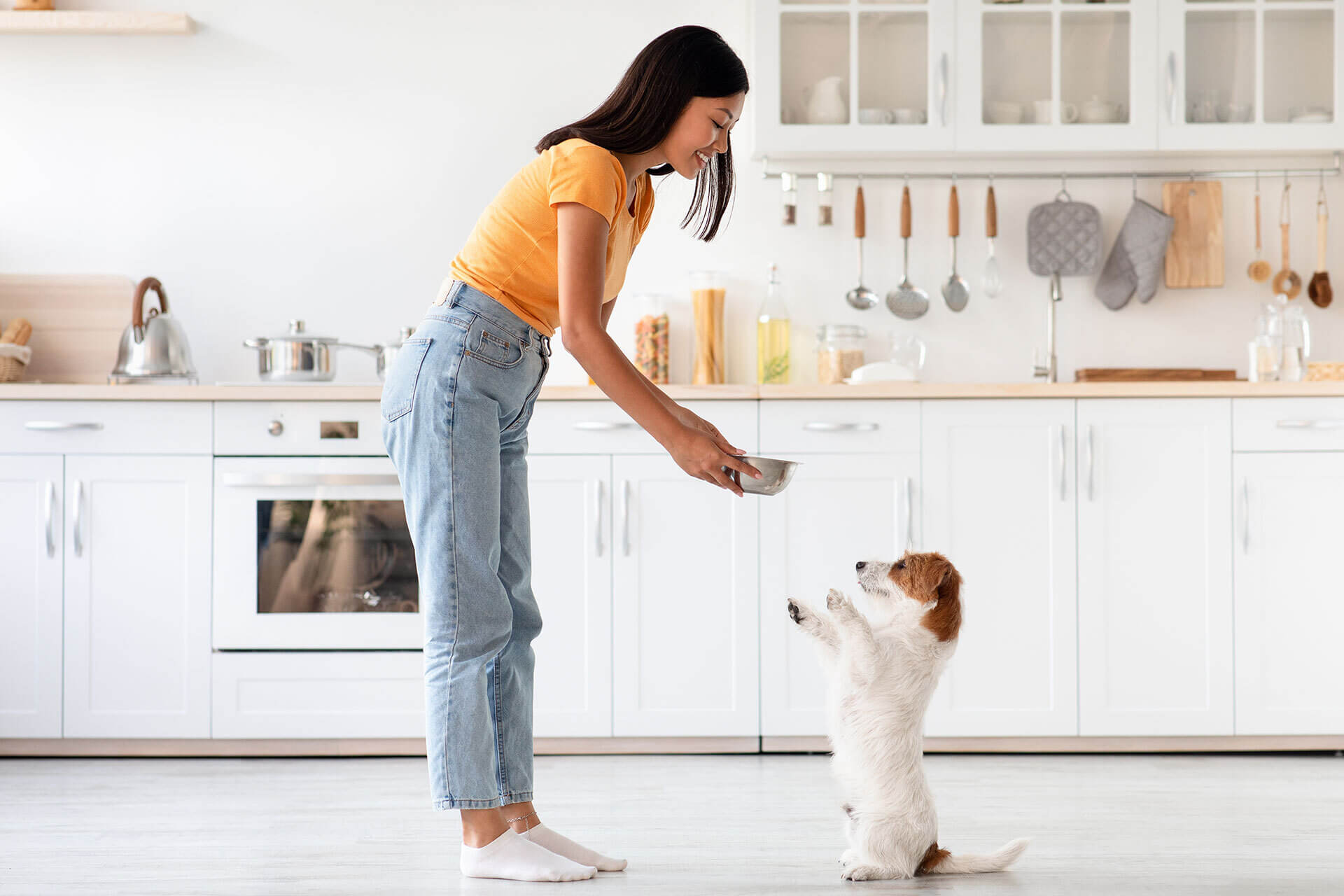 how to keep dogs off kitchen counters