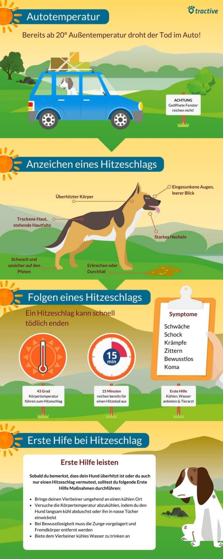 Hitzschlag beim Hund Sofortmaßnahmen, die helfen Tractive