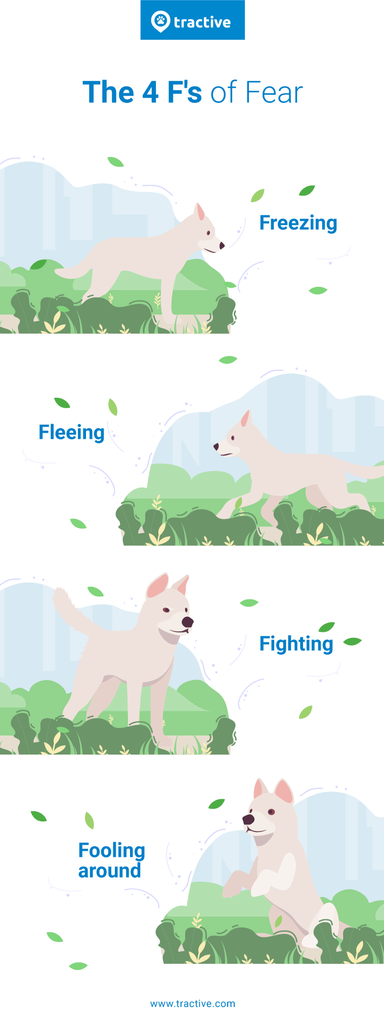Afbeelding van de 4 F’s van Fear (angst) bij honden