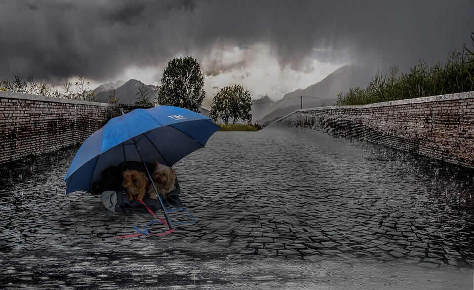 couple walking in the rain