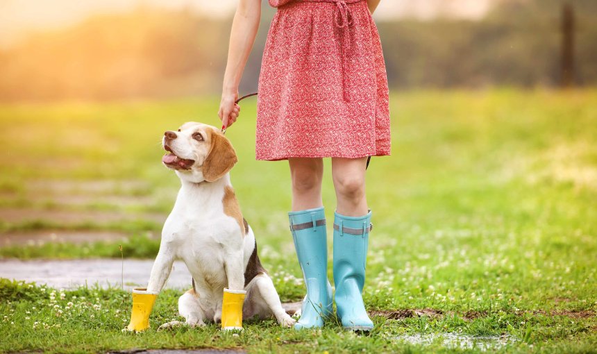 Mädchen steht mit Gummistiefeln neben ihrem Hund, ebenfalls in Gummistiefeln