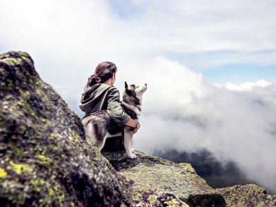 5 tips adventures with dogs
