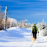 Vacanze invernali con il tuo cane