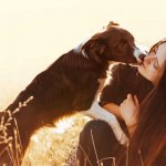 8 regali per i cani...dal cuore