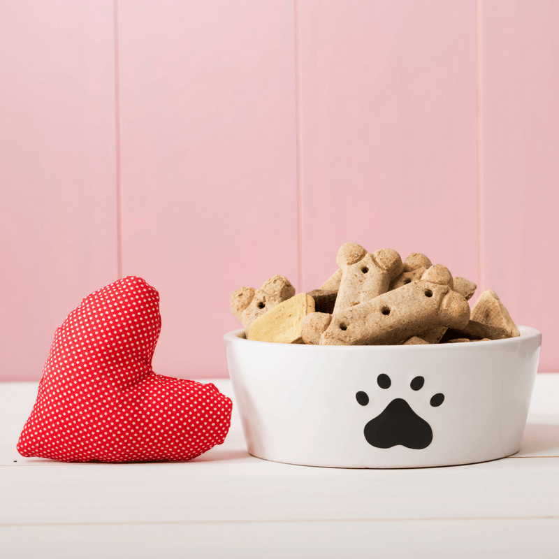 Valentines's gifts for dogs