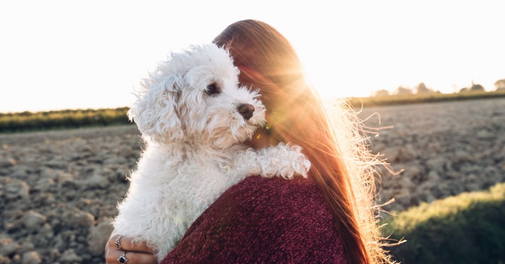 Mujer abrazando a un perro blanco pequeño al aire libre, con el sol de fondo
