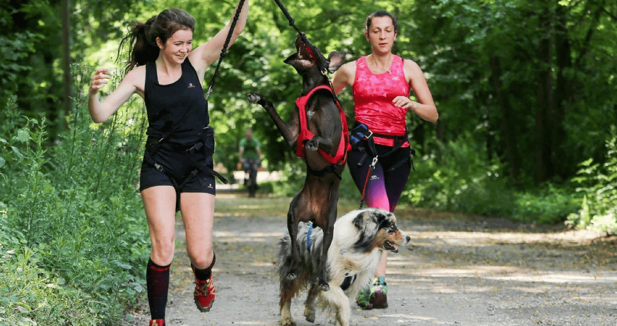 canicross - due donne corrono insieme ai loro cani