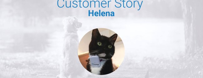 cat walking around: a customer review with Tractive GPS