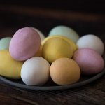 Le uova di Pasqua: un pericolo per il cane