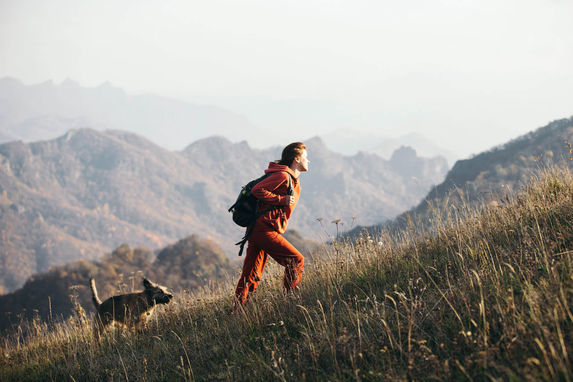 Escursione in montagna con il cane
