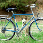 biking with your dog