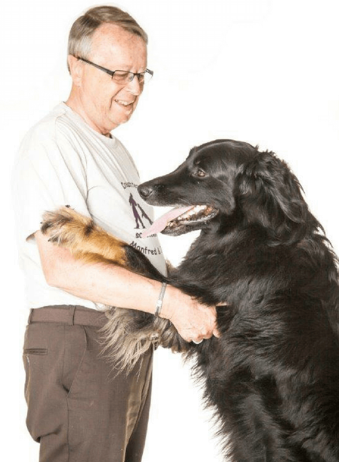 Eine Reise mit Hund nach Portugal