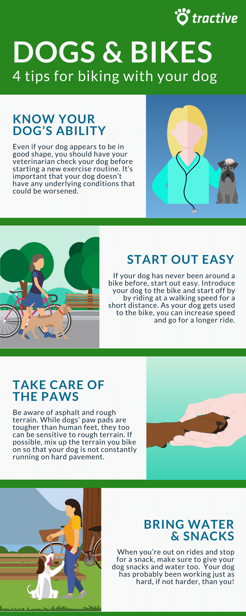 biking with dog tips summarized in infographic