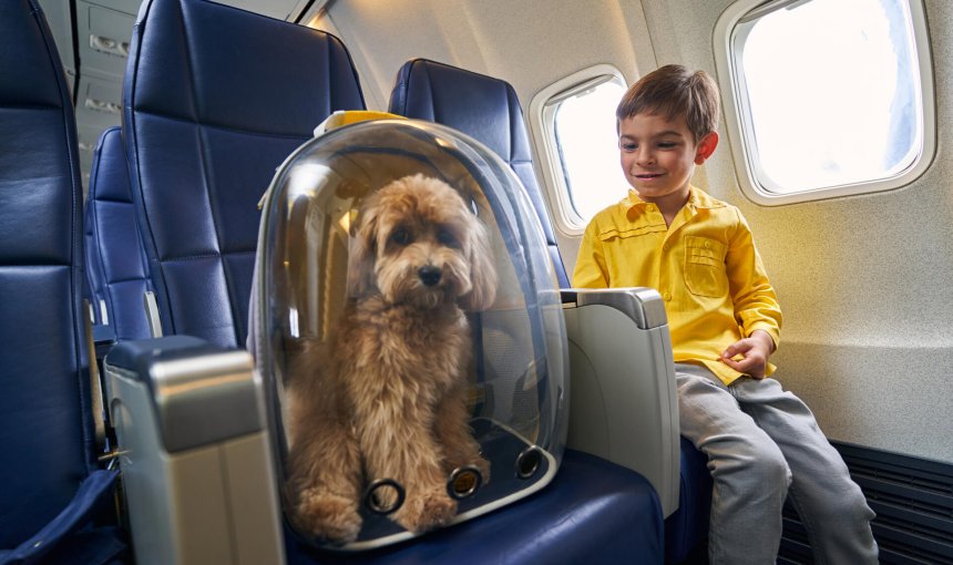 A boy sitting next to a dog in a crate on board an airplane
