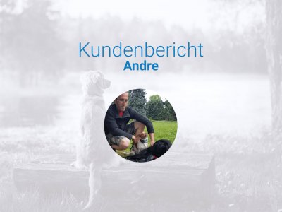 Spendensammlung Therapiehund - wie Tractive das Projekt unterstützt