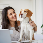 Hund im Büro - mit diesen Tipps überredest du deinen Chef