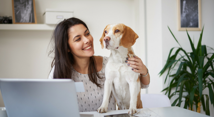 Hund im Büro - mit diesen Tipps überredest du deinen Chef