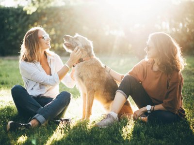 due donne e un cane siedono sull'erba in una giornata soleggiata