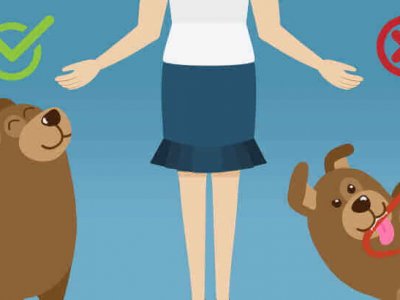 wichtige gebote der hundehaltung