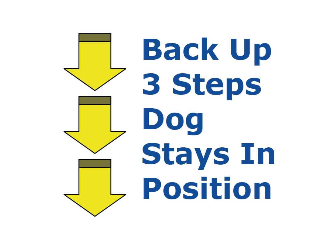Back Up 3 steps