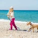 Come insegno al mio cane a non avere paura dell'acqua?