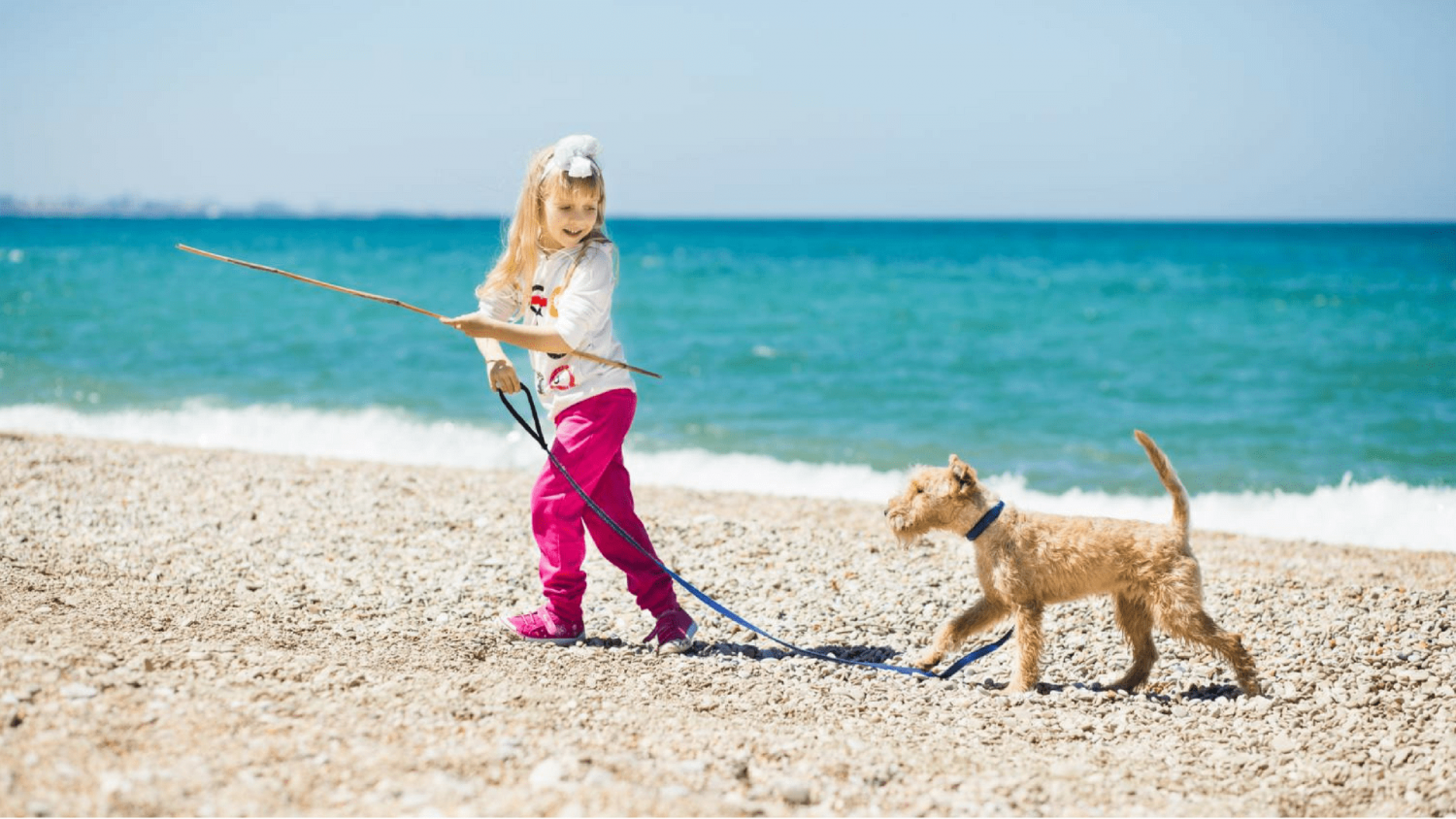 Come insegno al mio cane a non avere paura dell'acqua?