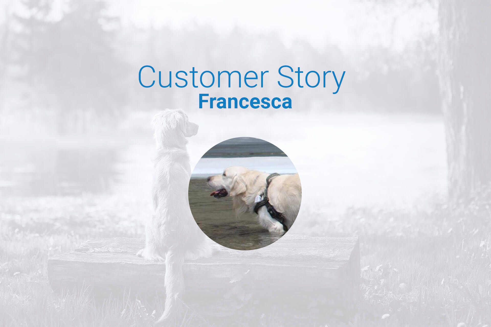 dog lost in mountains: customer story about how Tractive GPS tracker was a lifesaver