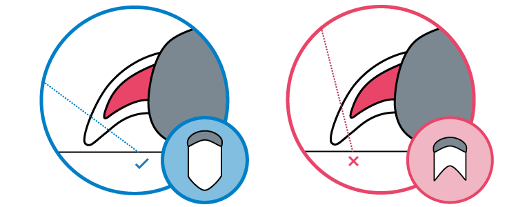 dog nail trimming illustration - how far to trim dog nails