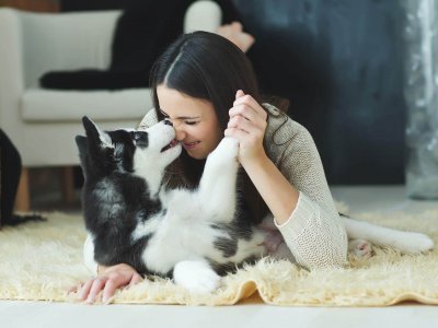 Hundeglück: 4 Gründe warum Hundebesitzer glücklicher sind
