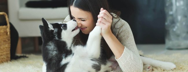 Hundeglück: 4 Gründe warum Hundebesitzer glücklicher sind