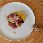 dog won't eat