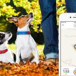 portare fuori il cane