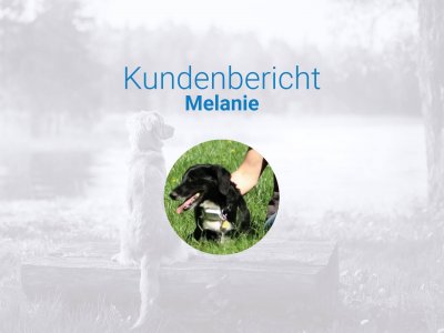Mantrailing für Hunde - Kunden berichten über Erfahrung mit dem Tractive GPS Tracker