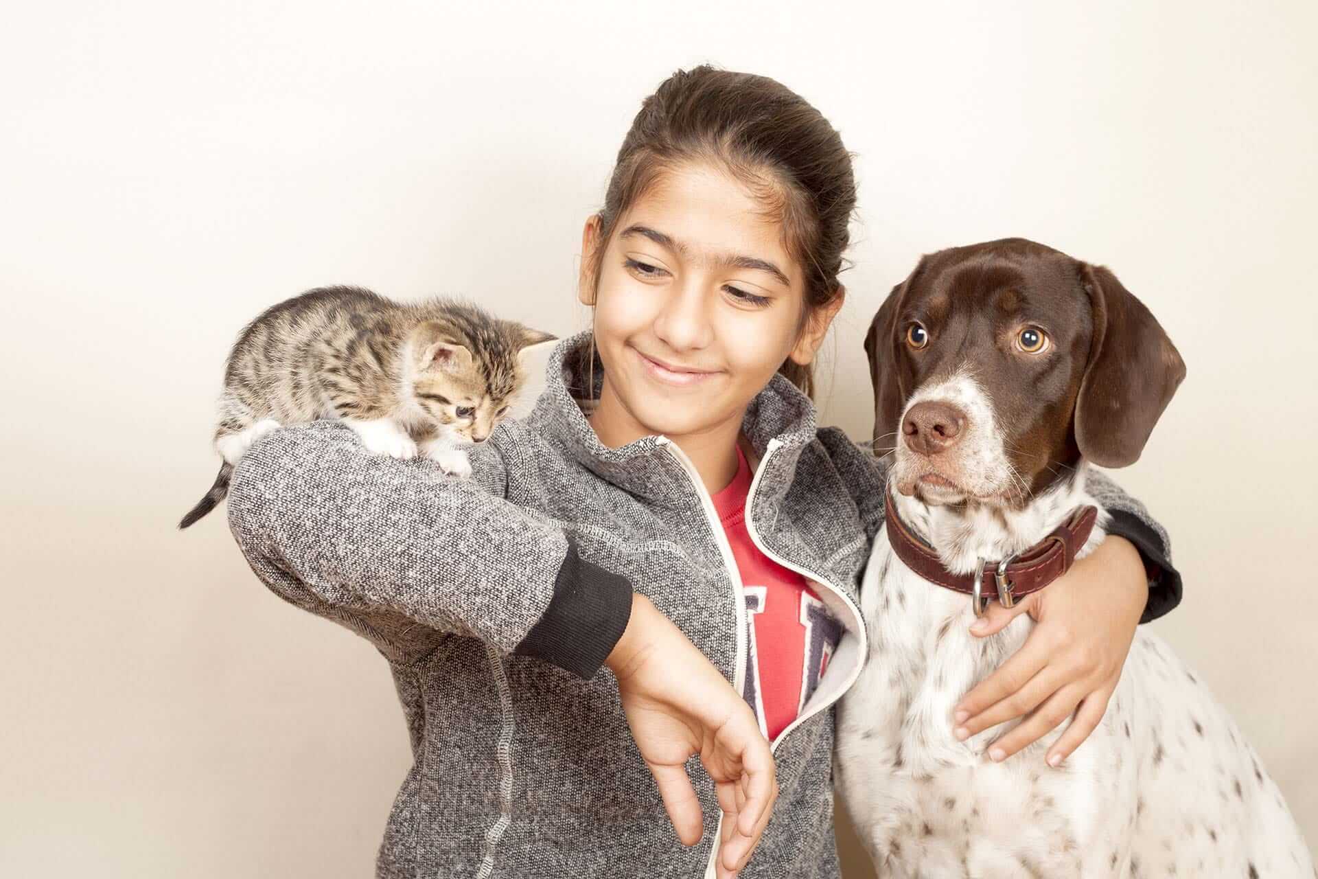 Cats and dogs: 7 tips for a good life together - Tractive Blog