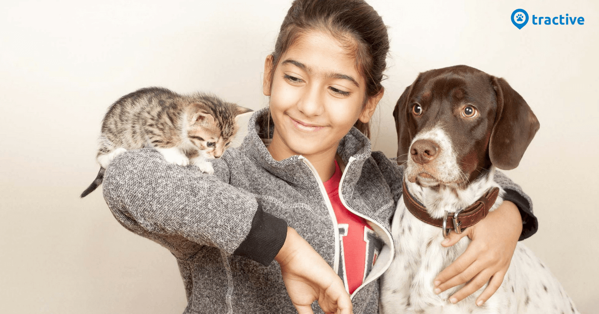 Cats And Dogs 7 Tips For A Good Life Together Tractive Blog