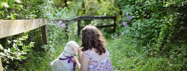 Garten für Hunde: Gib auf diese Dinge Acht