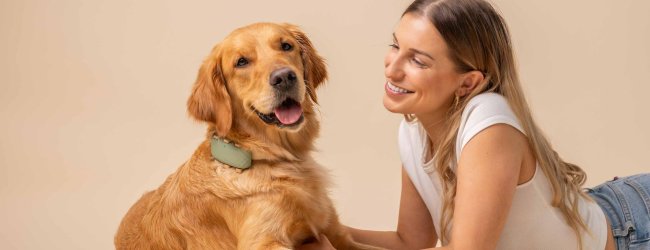 Ein Hund trägt einen Tractive GPS & Health Tracker