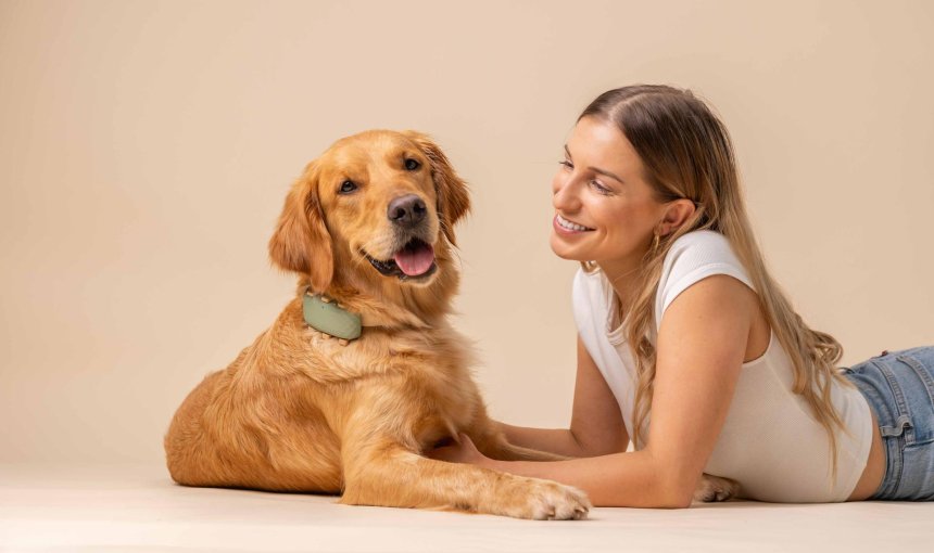 Ein Hund trägt einen Tractive GPS & Health Tracker