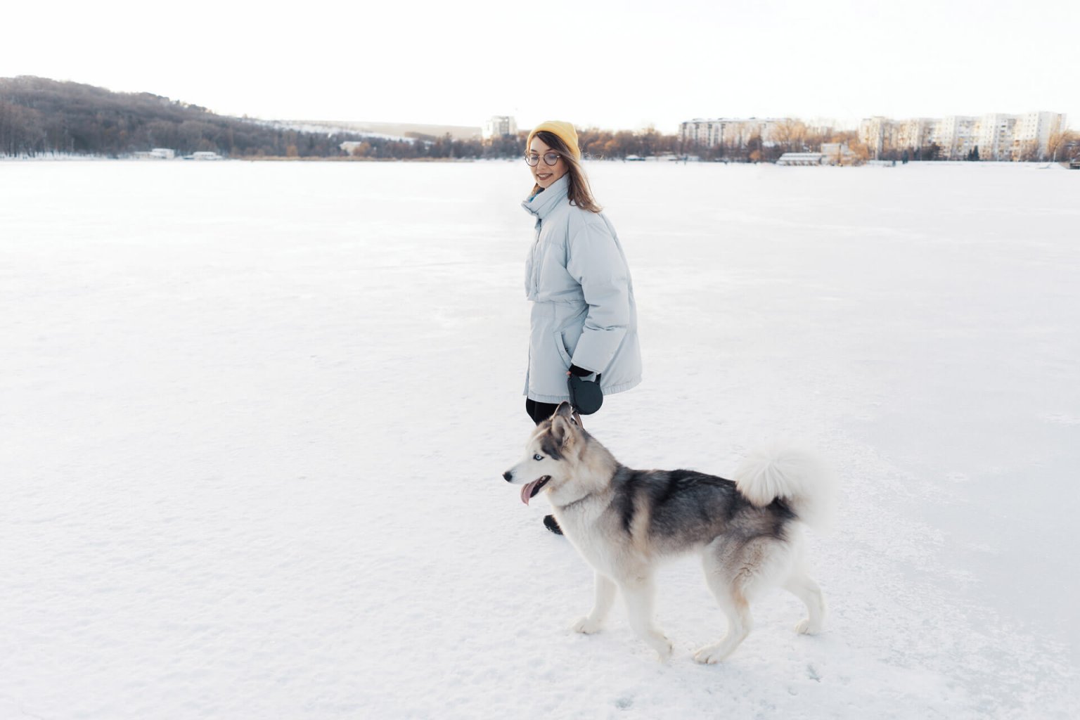 Happy New Wuff - 6 Tipps für ein entspanntes Silvester mit Hund | Tractive