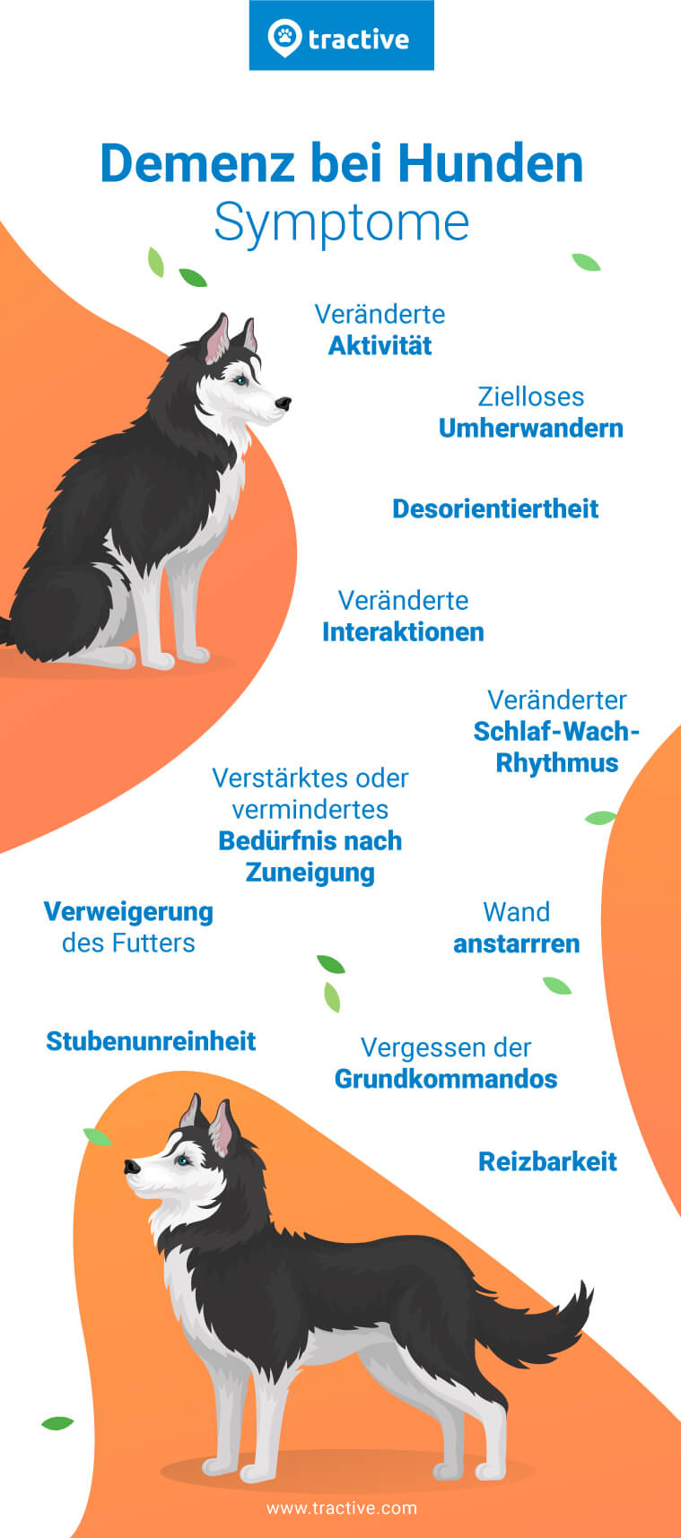 Infografik mit möglichen Symptomen bei Demenz bei Hunden